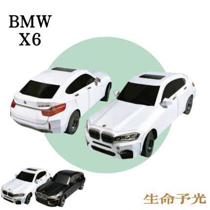 紙紮BMW X6